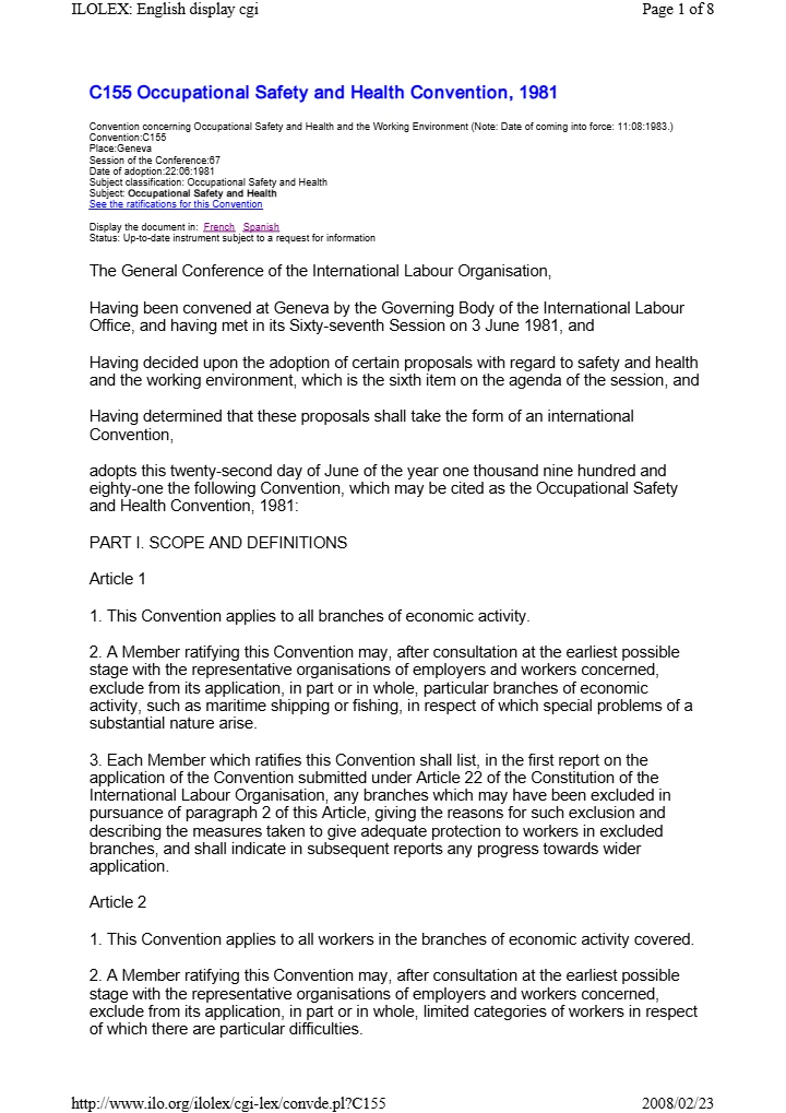 Protocol of 2002 to the Occupational Safety and Health Convention, 1981 (P155)